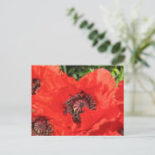 Carte Postale Roter Mohn (Debout devant)