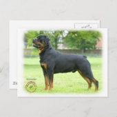 Carte Postale Rottweiler (Devant / Derrière)