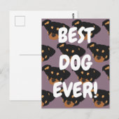 Carte Postale Rottweiler (Devant / Derrière)