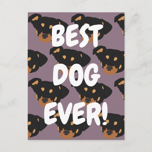 Carte Postale Rottweiler (Devant)