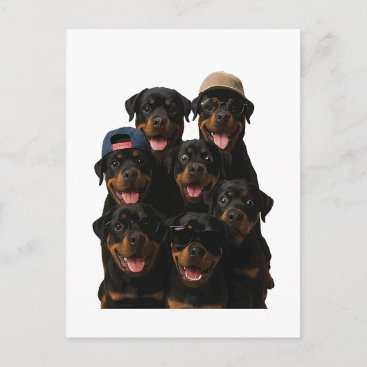 Carte Postale Rottweiler (Devant)