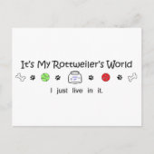 Carte Postale Rottweiler (Devant)