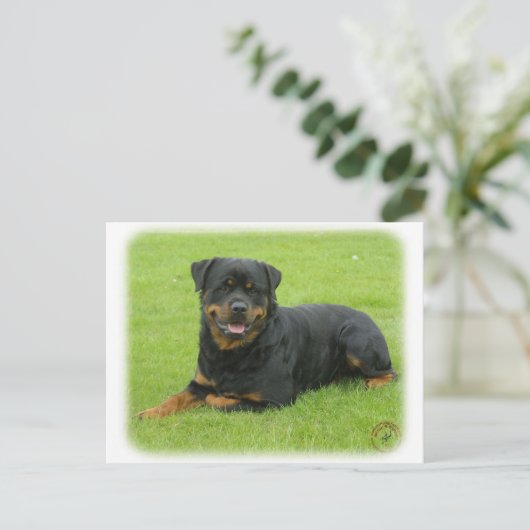 Carte Postale Rottweiler (Debout devant)
