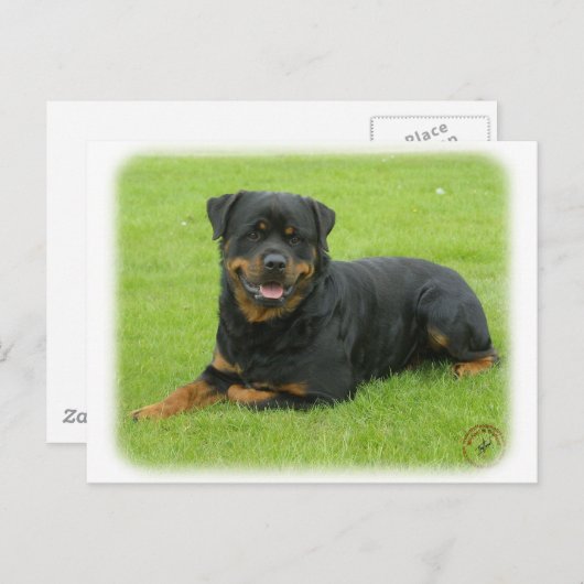 Carte Postale Rottweiler (Devant / Derrière)