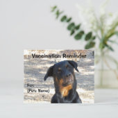 Carte postale Rottweiler (Debout devant)