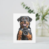 Carte Postale Rottweiler   (Debout devant)