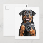 Carte Postale Rottweiler   (Devant / Derrière)