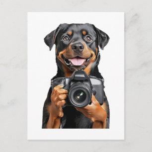 Carte Postale Rottweiler  