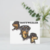 Carte Postale Rottweiler (Debout devant)