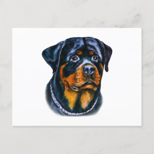 Carte Postale Rottweiler à l'aquarelle