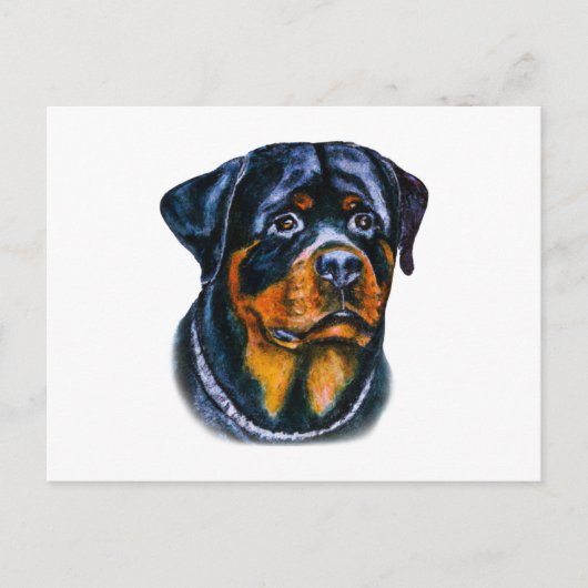 Carte Postale Rottweiler à l'aquarelle (Devant)