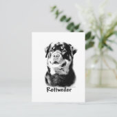 Carte Postale Rottweiler Charbon (Debout devant)
