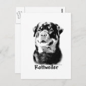 Carte Postale Rottweiler Charbon (Devant / Derrière)