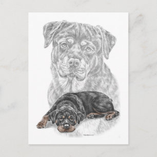 Carte Postale Rottweiler Chien Art