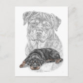 Carte Postale Rottweiler Chien Art (Devant)