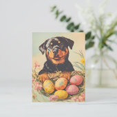 Carte Postale Rottweiler Pâques Vintages (Debout devant)
