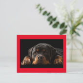 Carte Postale Rottweiler Puppy Dog Greeting (Debout devant)