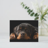Carte Postale Rottweiler Puppy Dog Greeting (Debout devant)