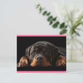Carte Postale Rottweiler Puppy Dog Greeting (Debout devant)