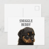 Carte Postale rottweiler snuggle chiot pote (Devant / Derrière)