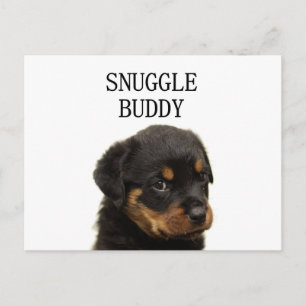 Carte Postale rottweiler snuggle chiot pote