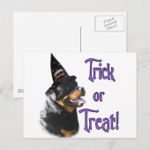 Carte Postale Rottweiler Trick (Devant / Derrière)