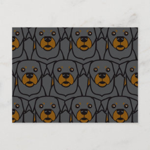 Carte Postale Rottweilers