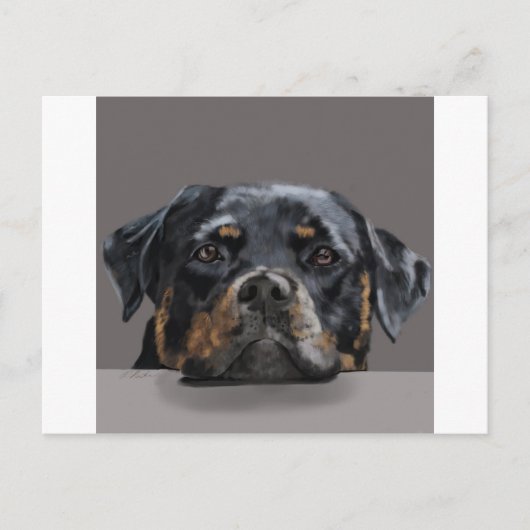 Carte Postale Rotweiller (Devant)