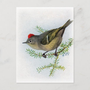 Carte Postale Roubis couronné