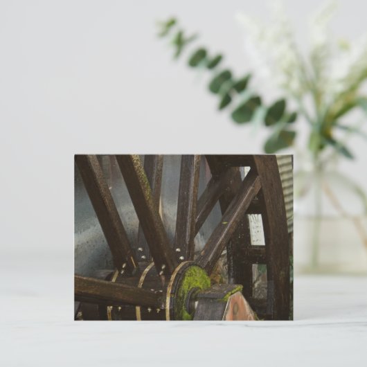 Carte Postale Roue à eau (Debout devant)