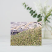 Carte Postale Roue Falkirk (Debout devant)