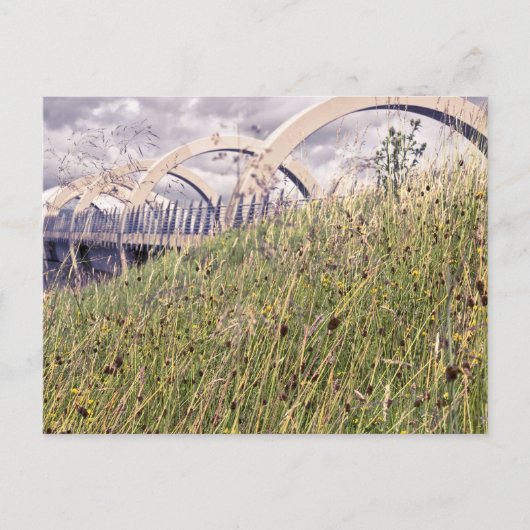 Carte Postale Roue Falkirk (Devant)