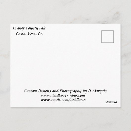 Carte postale ROUE FERRIS (Dos)