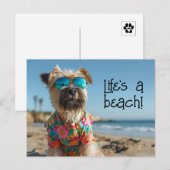 Carte Postale Roue Terrier Chiot portant des lunettes de soleil (Devant / Derrière)