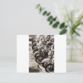 Carte Postale Roues (Debout devant)