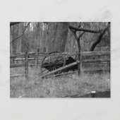 Carte Postale Roues (Devant)