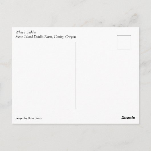 Carte Postale Roues Dahlia (Dos)