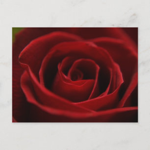Carte postale rouge