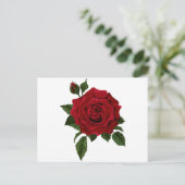 Carte Postale Rouge (Debout devant)