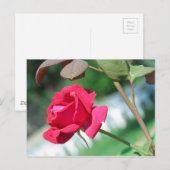 Carte Postale Rouge (Devant / Derrière)