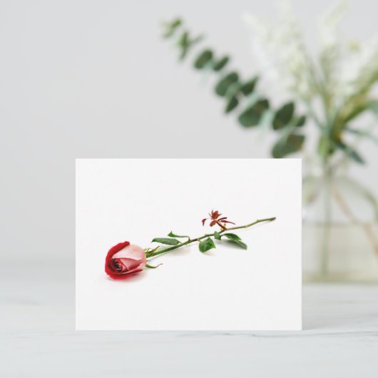 Carte Postale Rouge (Debout devant)