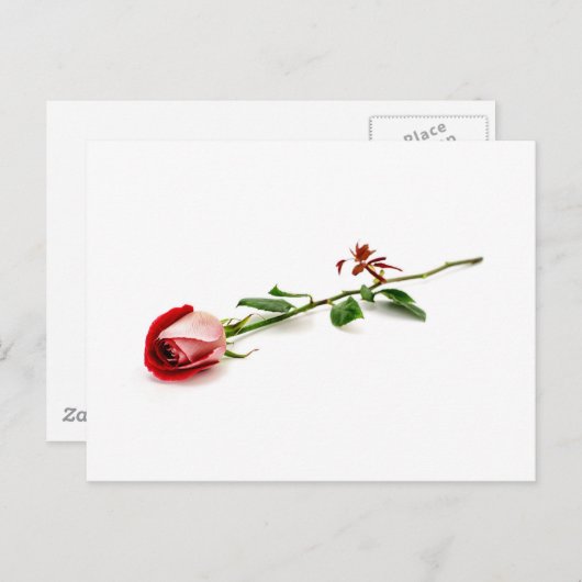 Carte Postale Rouge (Devant / Derrière)