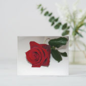 Carte postale rouge (Debout devant)