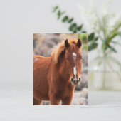 Carte Postale Rouge (Debout devant)