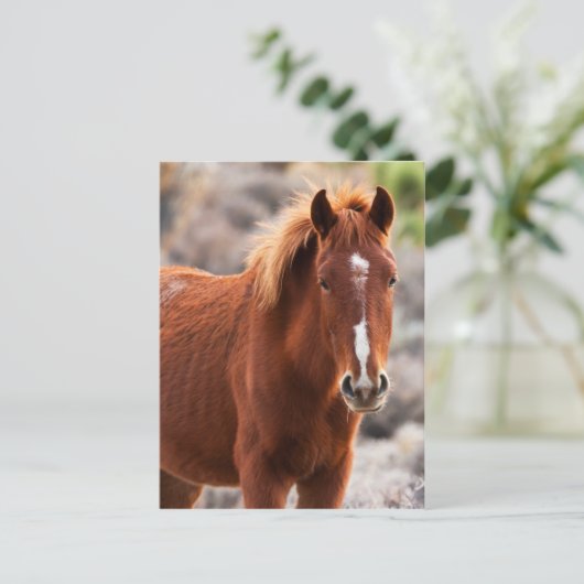 Carte Postale Rouge (Debout devant)