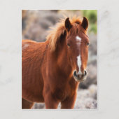 Carte Postale Rouge (Devant)