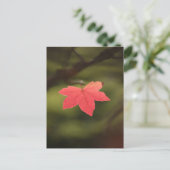 Carte Postale Rouge automne Maple Leaf Nature Photo (Debout devant)