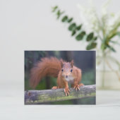 Carte postale rouge bébé (Debout devant)