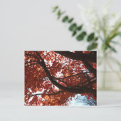 Carte Postale Rouge Branches d'érable Couleurs d'automne (Debout devant)