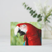 Carte Postale Rouge brillant (Debout devant)